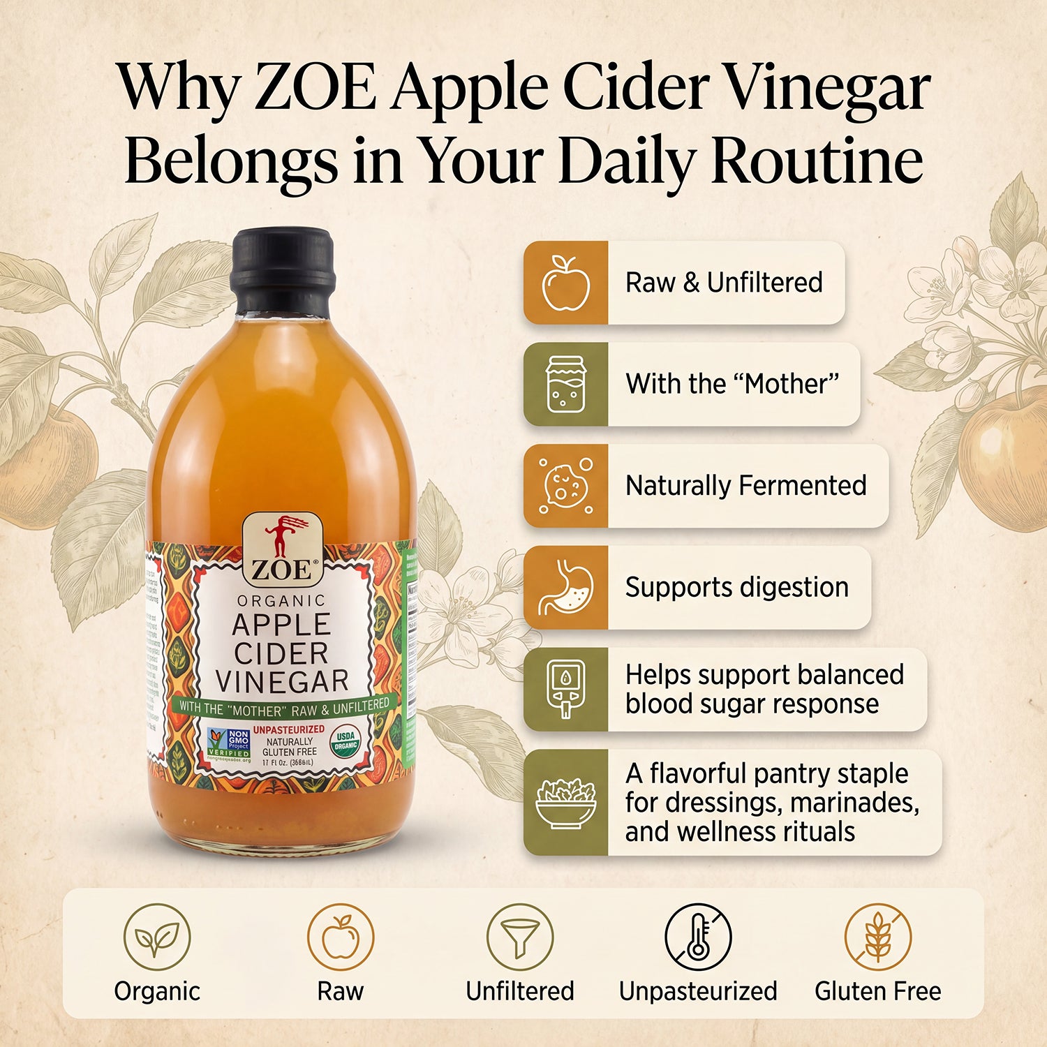 ZOE Apple Cider Vinegar, why it belongs in your routine infographic
